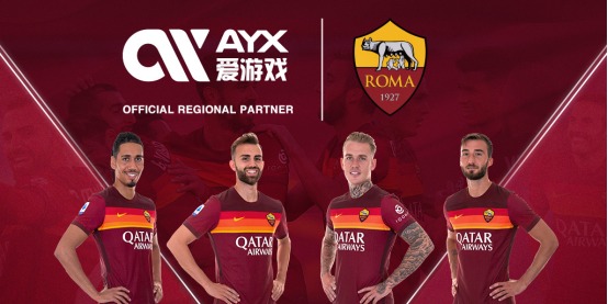 国在政策推
